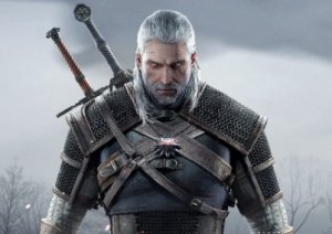 The Witcher The Witcher