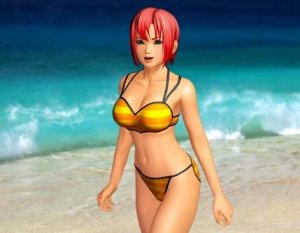Dead or Alive: Paradise Dead or Alive: Paradise